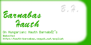 barnabas hauth business card